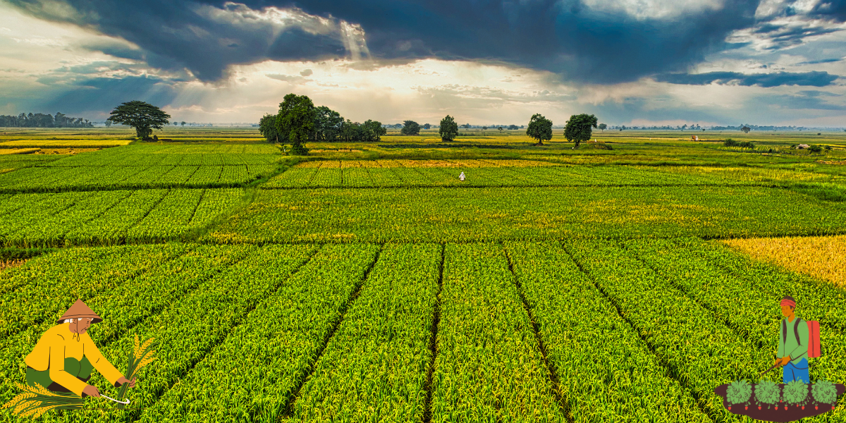 Top 5 Emerging Trends in Agriculture